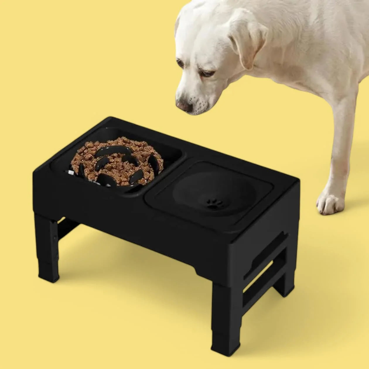 UpFeed Pro Upphöjd Slowfeeder & Anti-Spill Matskål - Djurslottet