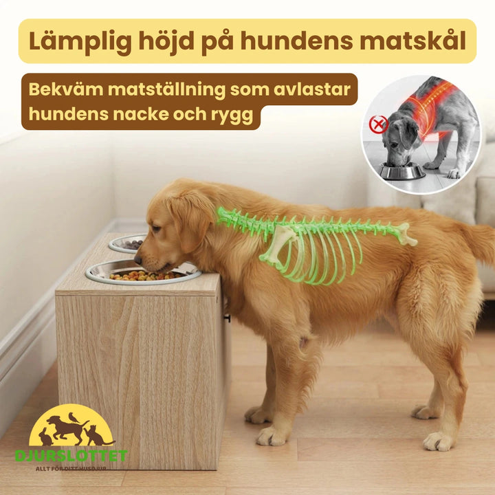 Upphöjd Matskål Hund med Förvaring Lämplig höjd på hundens matskål - Djurslottet