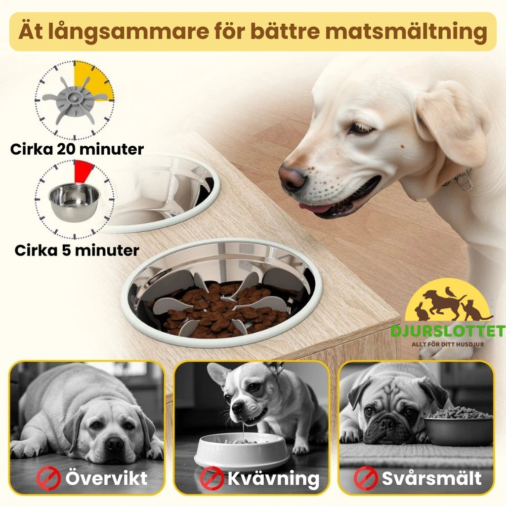 Upphöjd Matskål Hund med Förvaring Ät långsammare för bättre matsmältning - Djurslottet