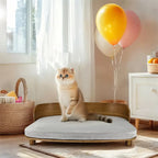 Upphöjd träsäng för katt och hund Lätt att hålla fräsch - Djurslottet