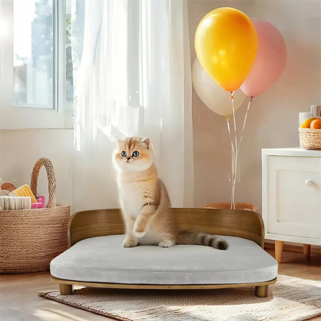 Upphöjd träsäng för katt och hund Lätt att hålla fräsch - Djurslottet