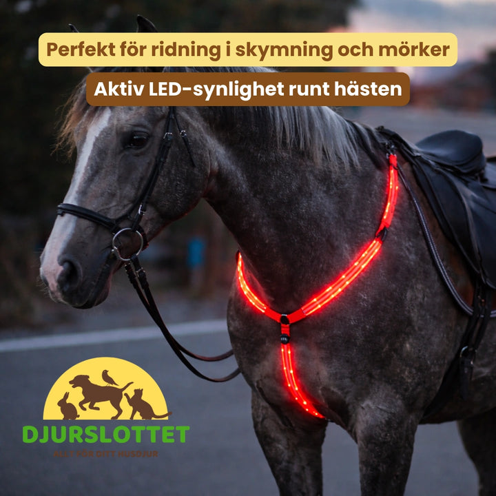 Uppladdningsbar LED brösta till häst Perfekt för ridning i skymning och mörker - Djurslottet