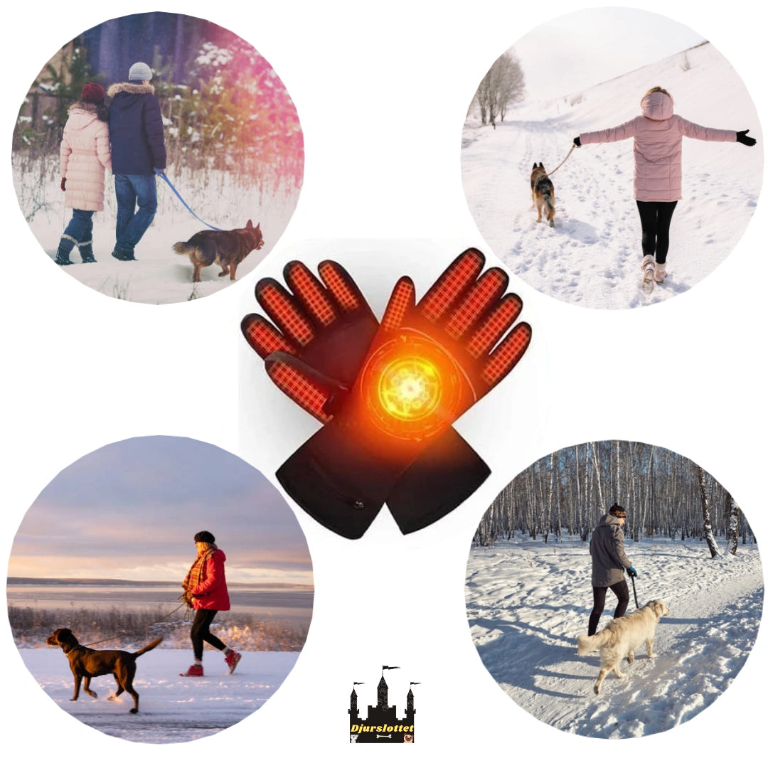Värmehandskar för Hundägare Kalla händer ska inte förstöra hundpromenaden  - Djurslottet