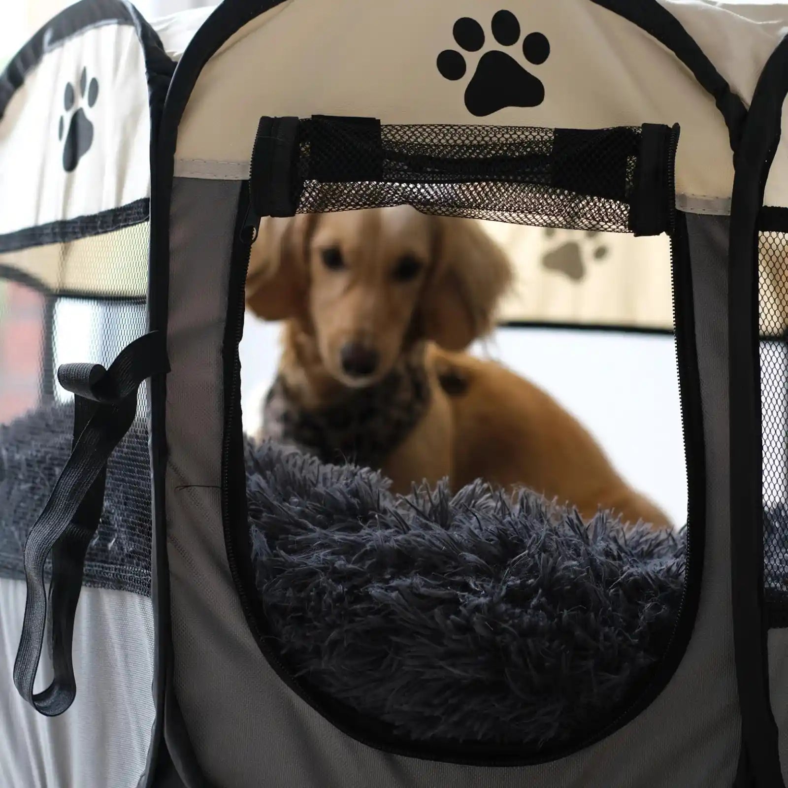 Furry Fiesta Lekhage - Djurslottet