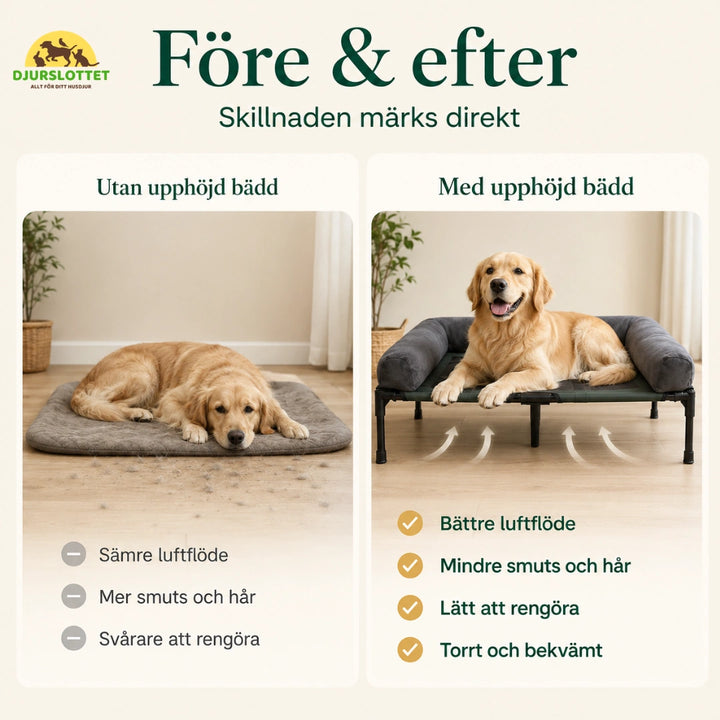 Ventilerande Hundbädd på Ben efter - Djurslottet