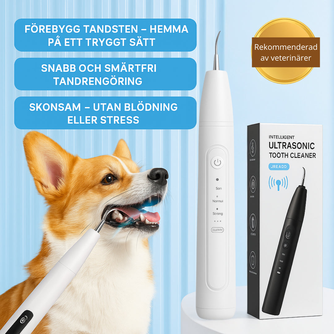 Detixy Tandskrapa Ultraljud