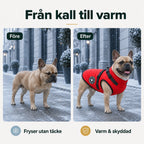 Vintertäcke till hundar vs efter - Djurslottet