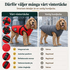 Vintertäcke till hundar vs vanlig - Djurslottet