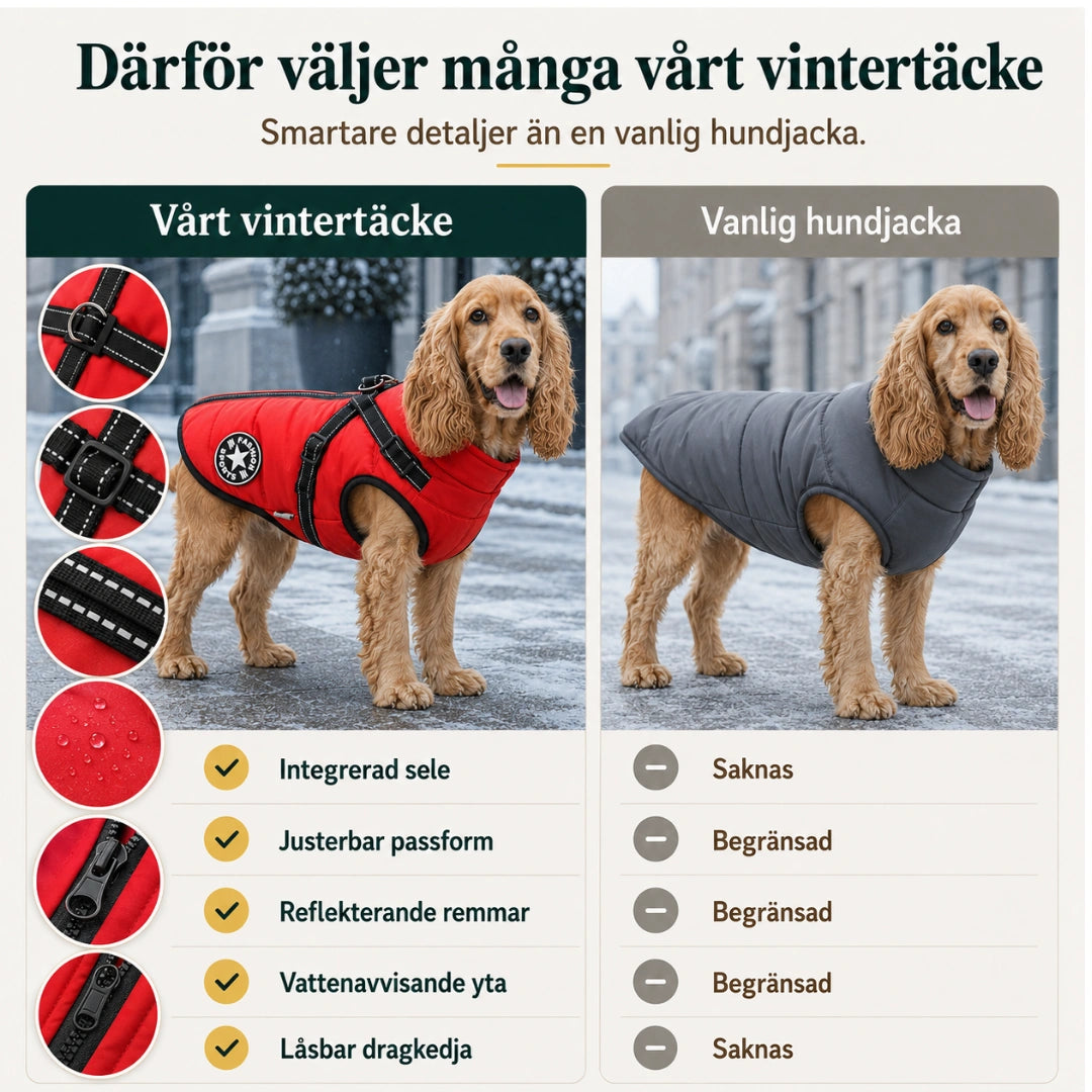 Vintertäcke till hundar vs vanlig - Djurslottet
