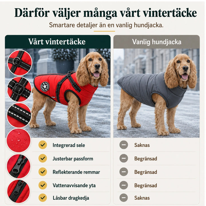 Vintertäcke till hundar vs vanlig - Djurslottet