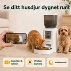 Vridbar kamera med livevideo och mörkerseende visar hund och katt - Djurslottet