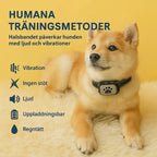 antiskallhalsband_shiba_humana_traningsmetoder - Djurslottet