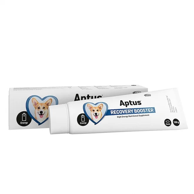 Aptus Recovery Booster Hund - Djurslottet