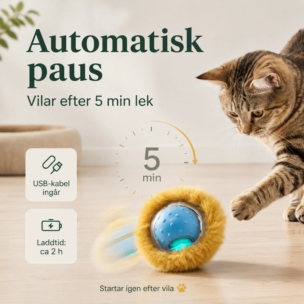 Automatisk paus efter fem minuters lek - Djurslottet