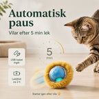 Automatisk paus efter fem minuters lek - Djurslottet