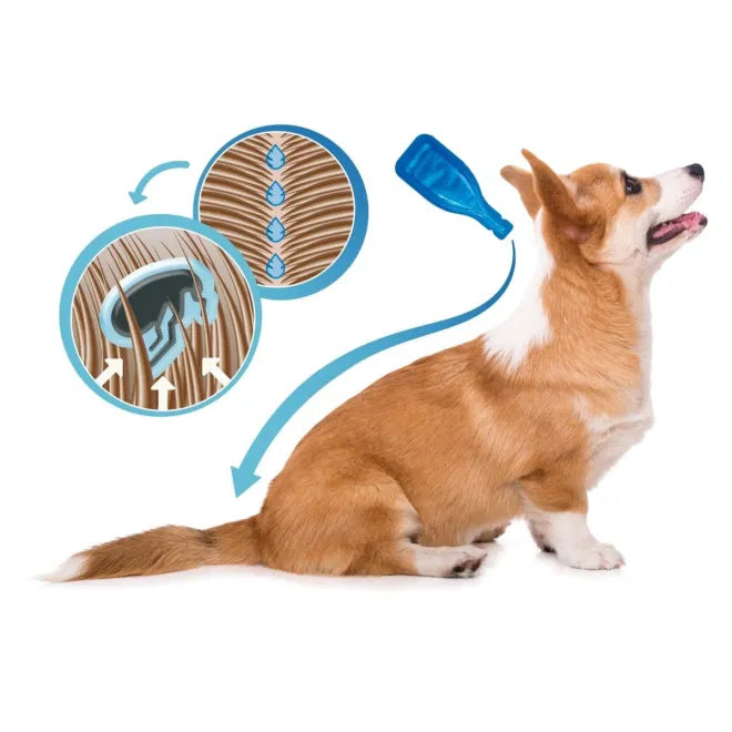 Gör ditt husdjur fästingfritt