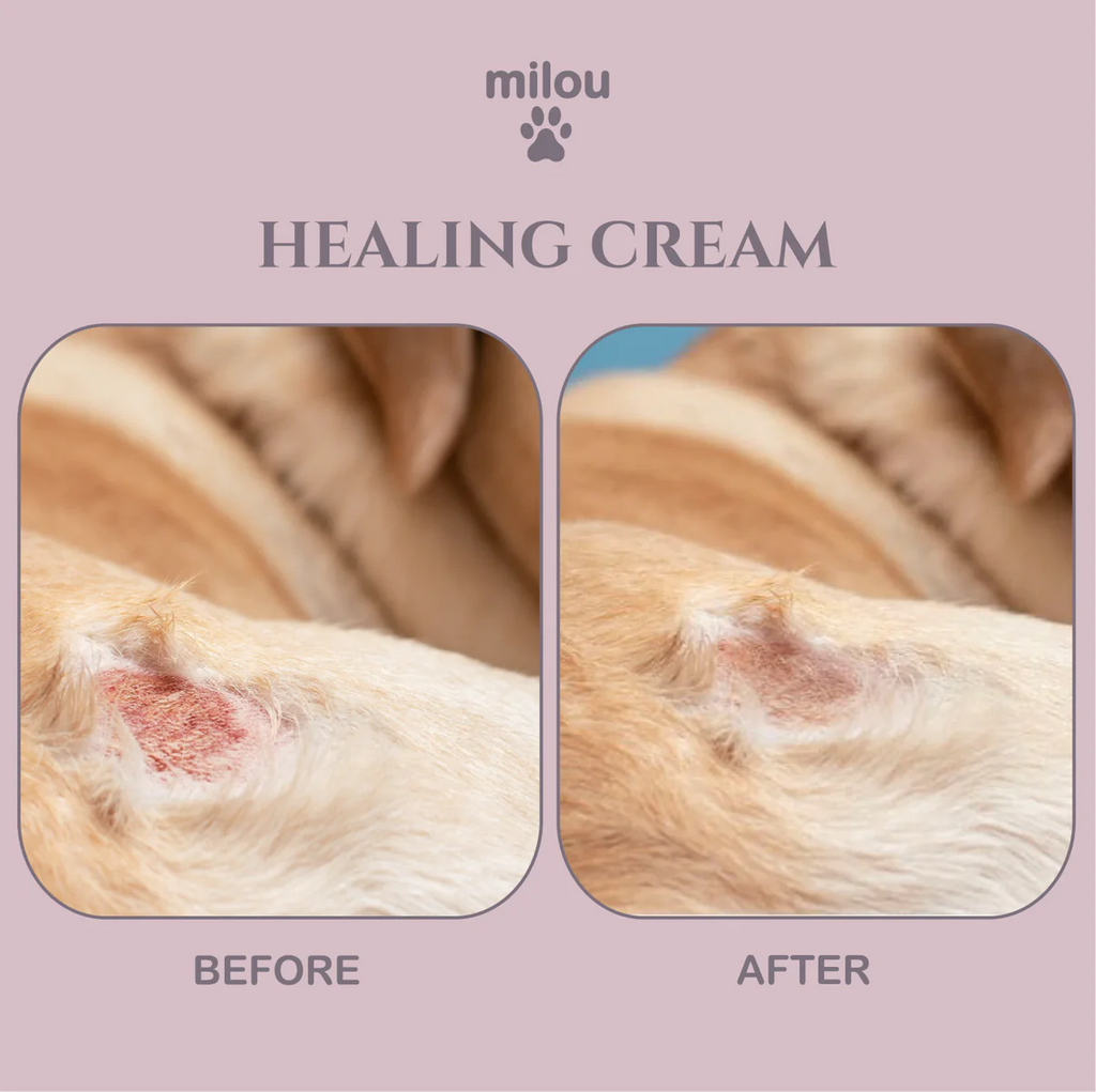 Milou sårläkande kräm - Djurslottet