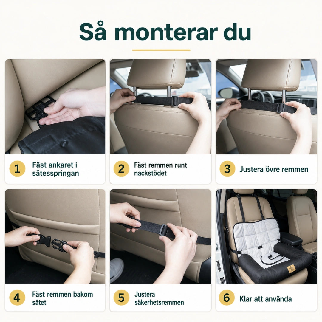 BingoPaws Vattentålig Bilstol så monterar du den i bilen - Djurslottet