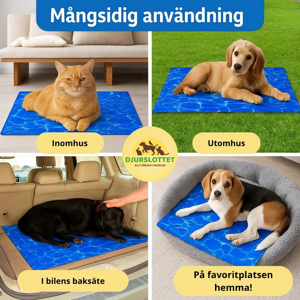 Coolivo Kylmatta självkylande för hund och katt - Djurslottet