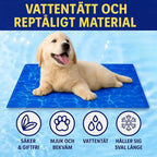 Coolivo Kylmatta för hund och katt - Djurslottet