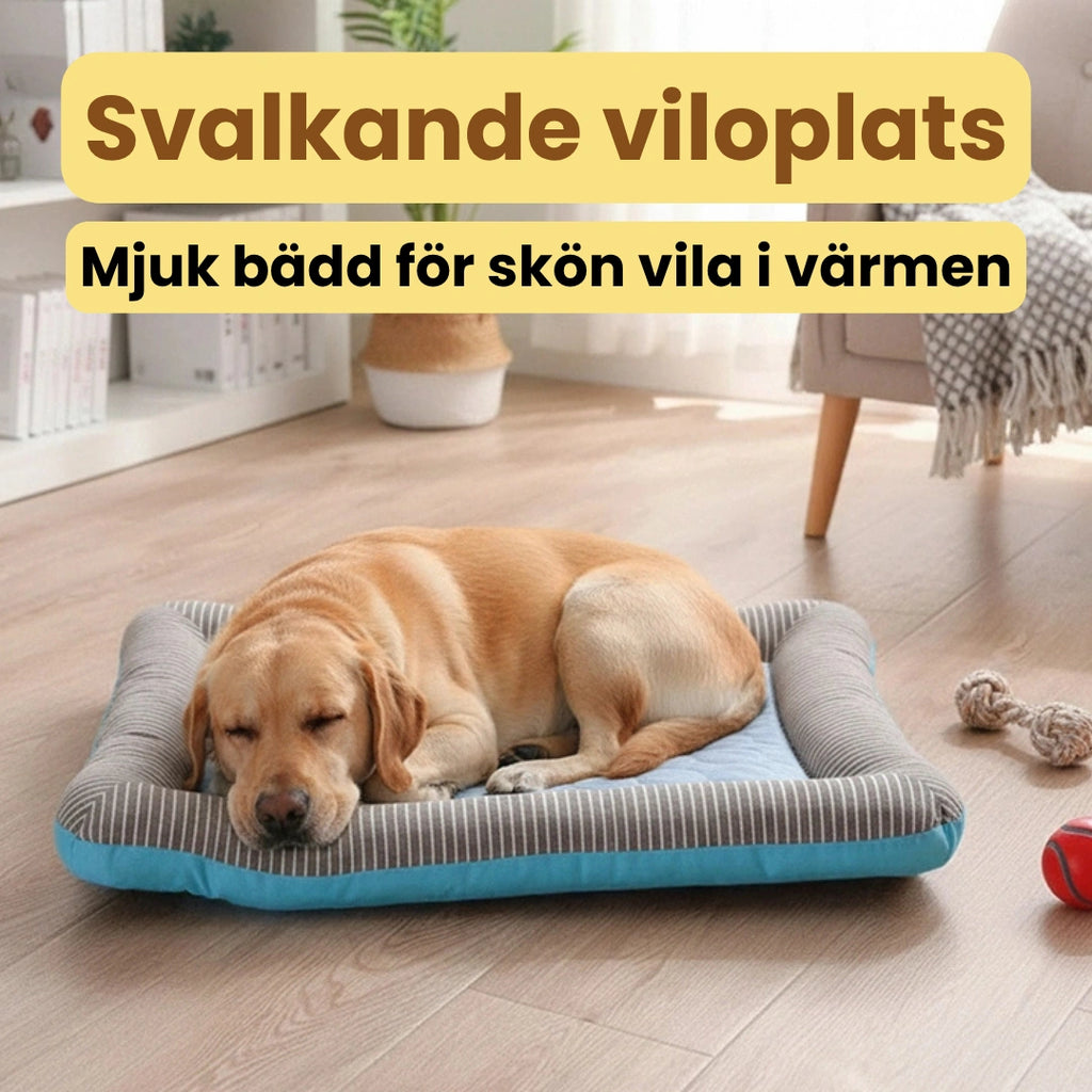 Coolivo Comfort Kylmatta som svalkande viloplats för hund - Djurslottet