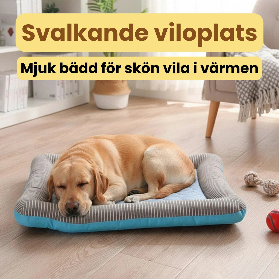 Coolivo Comfort Kylmatta som svalkande viloplats för hund - Djurslottet