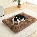 Fluffig Hundbädd, 
Hundbädd Tvättbar, CozyCloud Fluffig djurbädd - Djurslottet