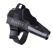 Detixy hundsele