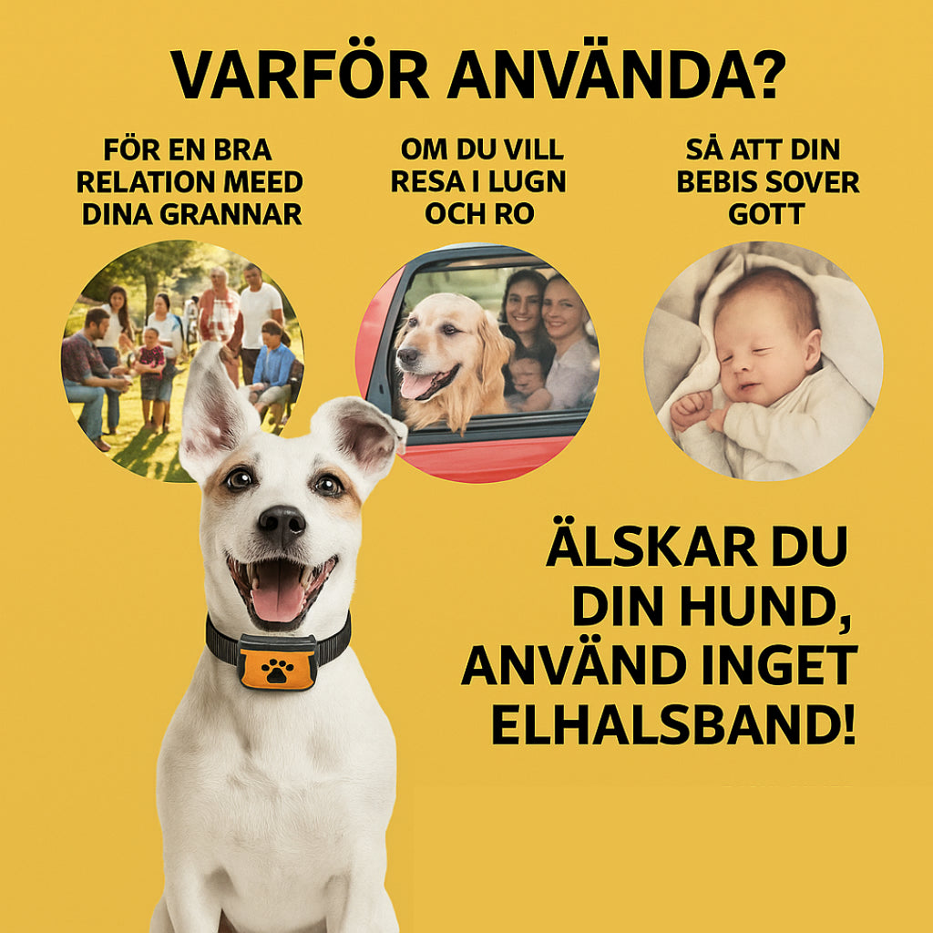 Antiskäll halsband - Djurslottet