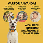 Antiskäll halsband - Djurslottet