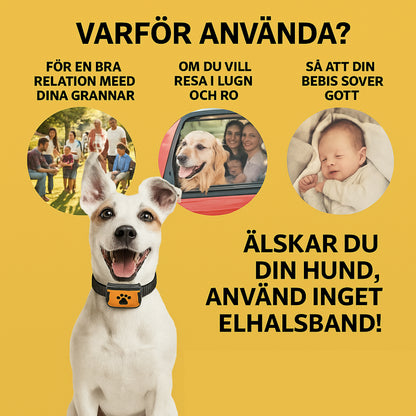 Antiskäll halsband - Djurslottet