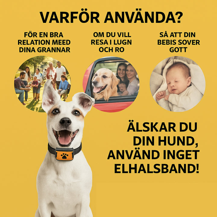Antiskäll halsband - Djurslottet