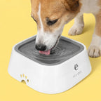 Antispill vattenskål för hund från Djurslottet där hund dricker vatten