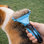 Tovborste för hund från Djurslottet som används på hund med borsten full av päls