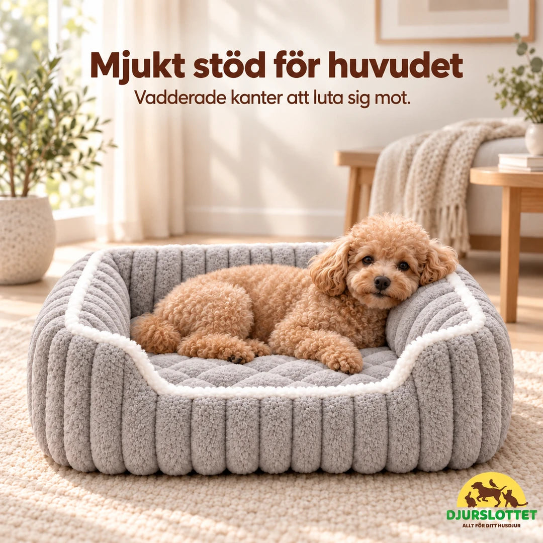 Fluffelia Mjuk Djurbädd – hund vilar huvudet mot den vadderade kanten – Djurslottet