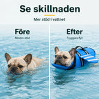 Före och efter, hund med mer stöd i vattnet med flytväst - Djurslottet