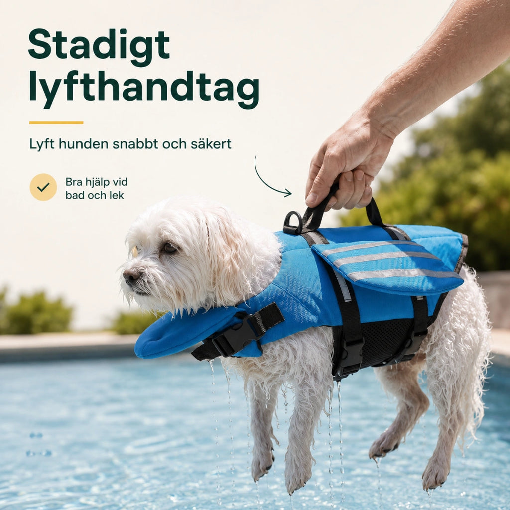 Stadigt lyfthandtag som lyfter hunden ur vattnet - Djurslottet