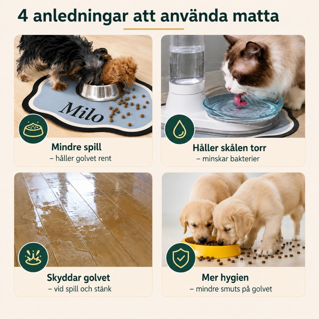 Fyra anledningar att använda ett matskålsunderlägg - Djurslottet