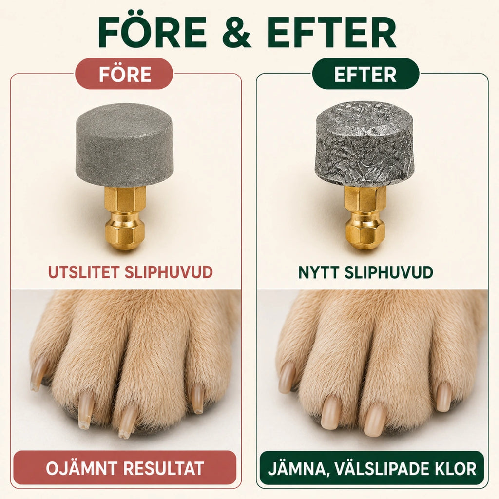 Före och efter byte av sliphuvud på hundklor - Djurslottet