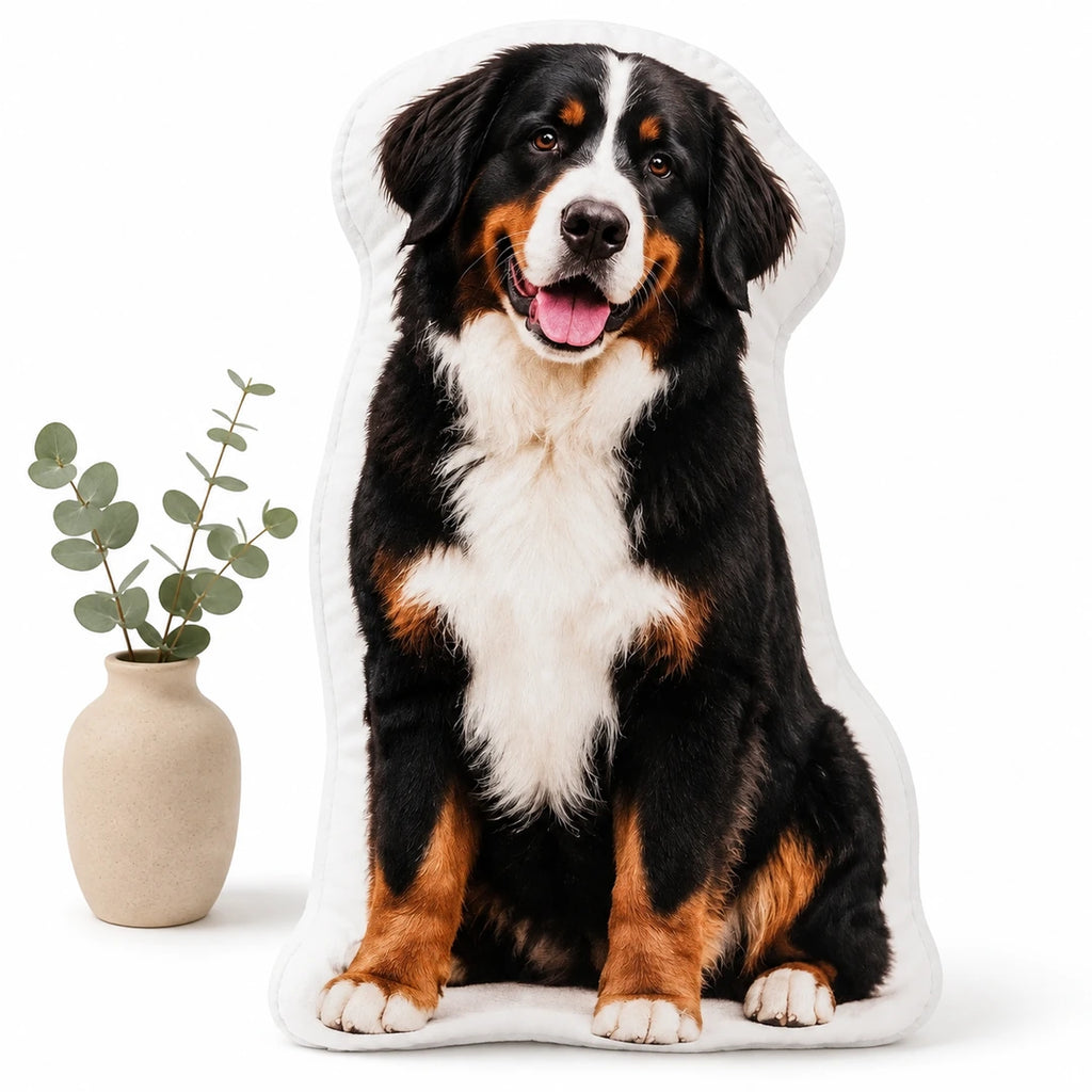 Personlig husdjurskudde med Berner sennen, 60 cm