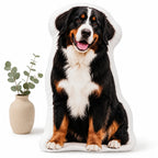 Personlig husdjurskudde med Berner sennen, 60 cm