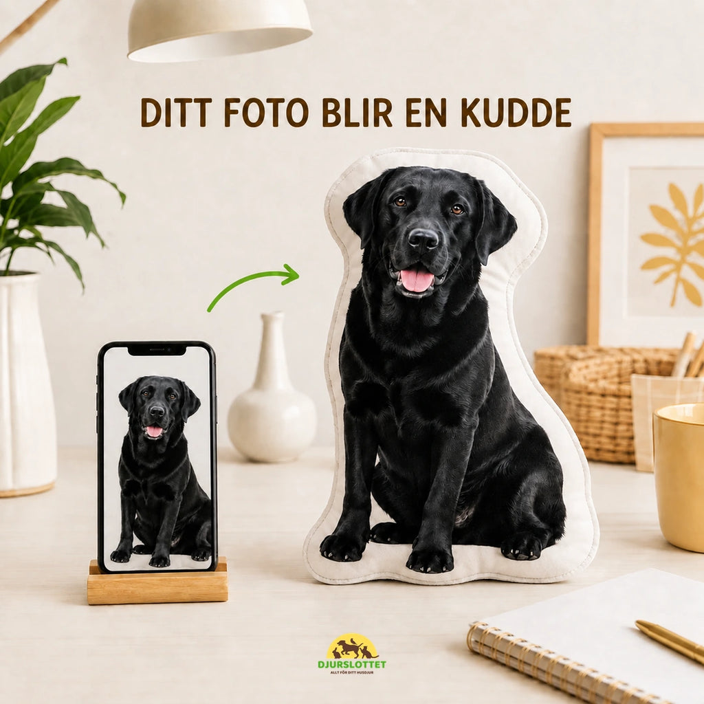 Personlig husdjurskudde från samma hundfoto som visas i mobilen