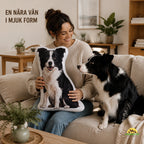 Personlig husdjurskudde med border collie-motiv hos ägare och matchande hund