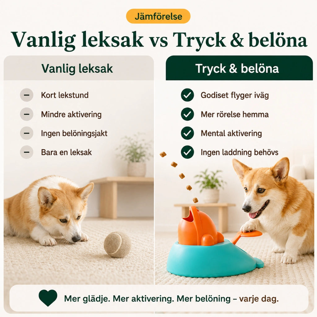 Clicker godiskastare jämfört med vanlig leksak - Djurslottet