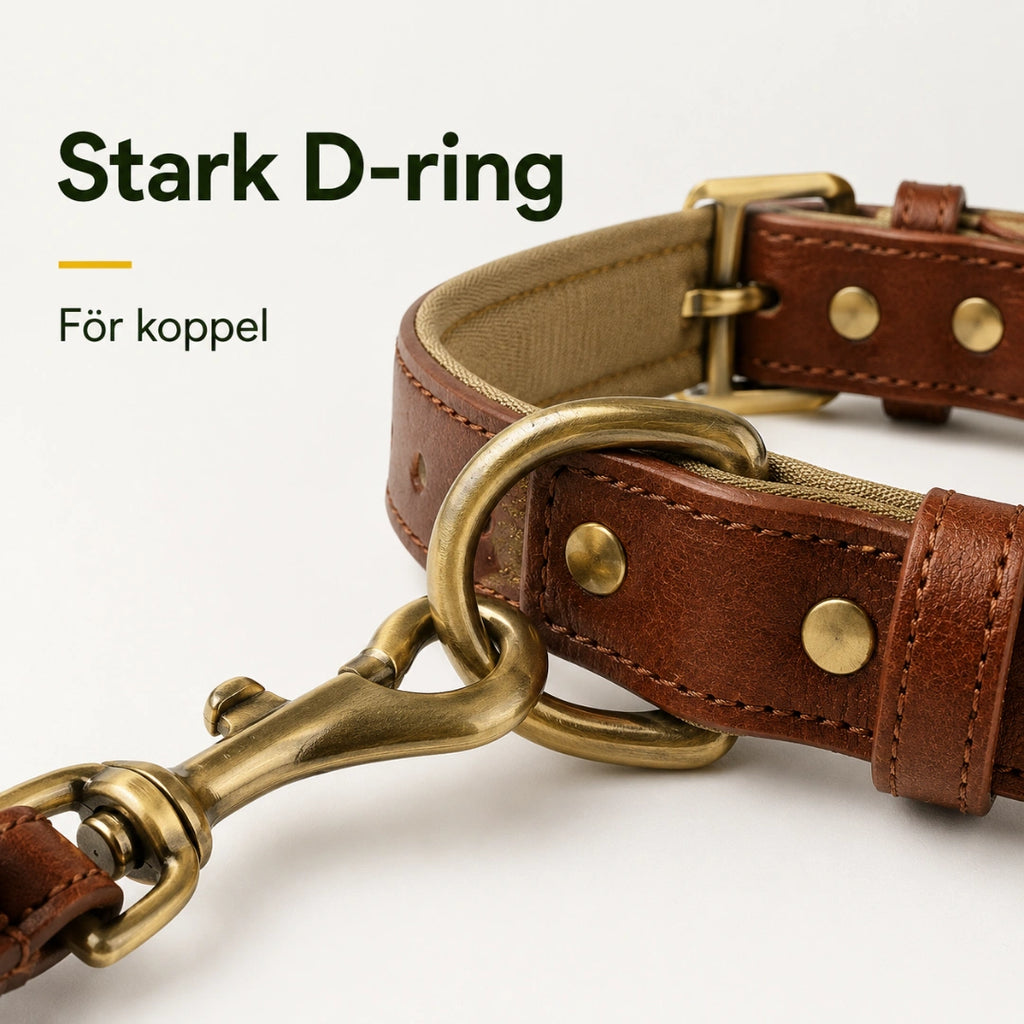 Tagley läderhalsband med robust D-ring för koppel - Djurslottet