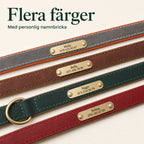 Tagley läderhalsband i fyra färger - Djurslottet