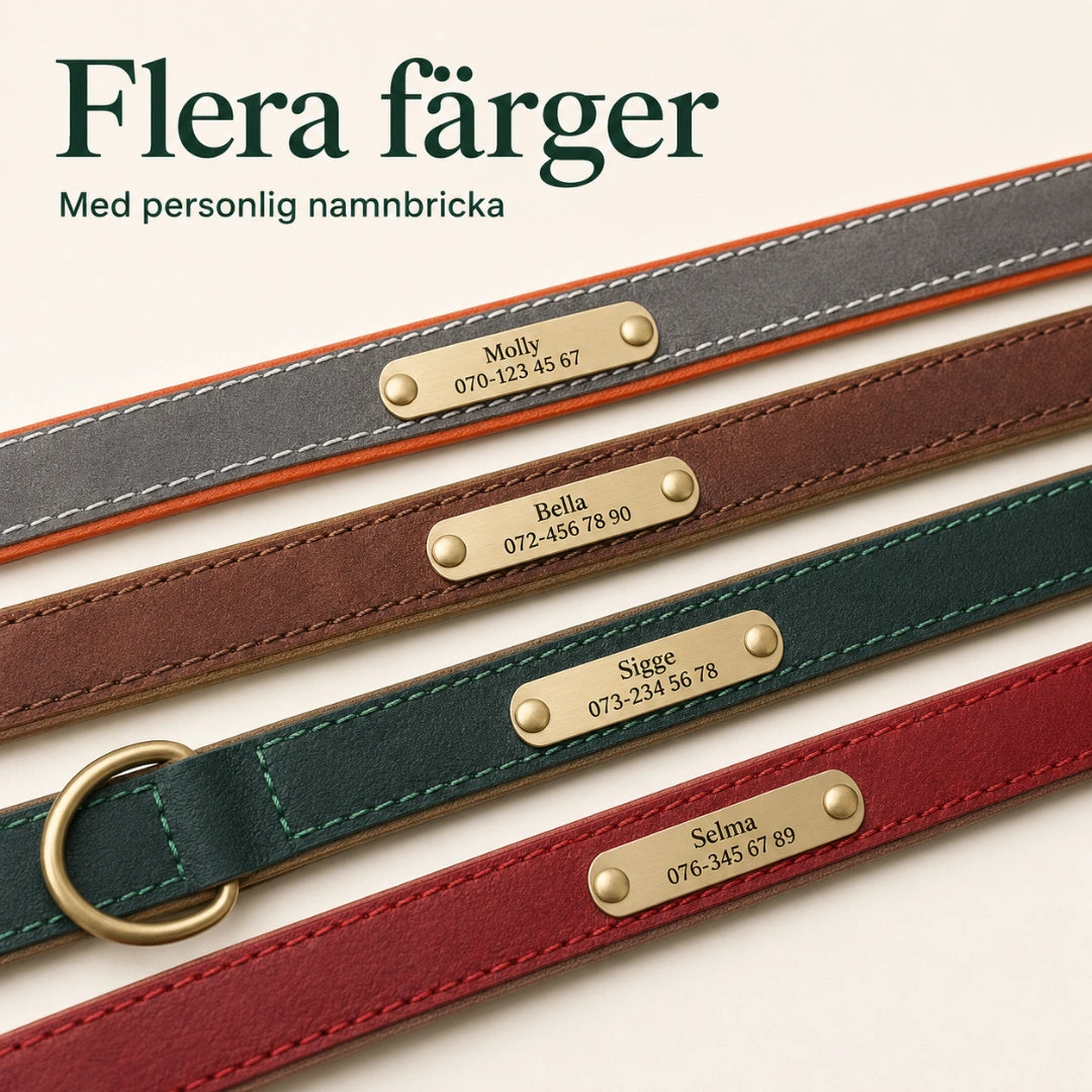 Tagley läderhalsband i fyra färger - Djurslottet