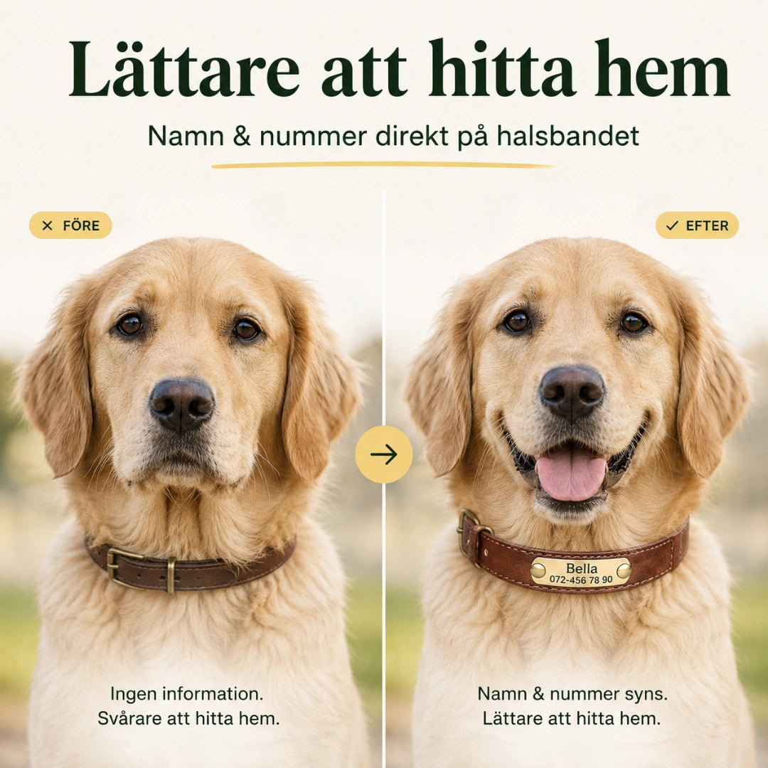 Tagley läderhalsband ger en tryggare ID-märkning - Djurslottet