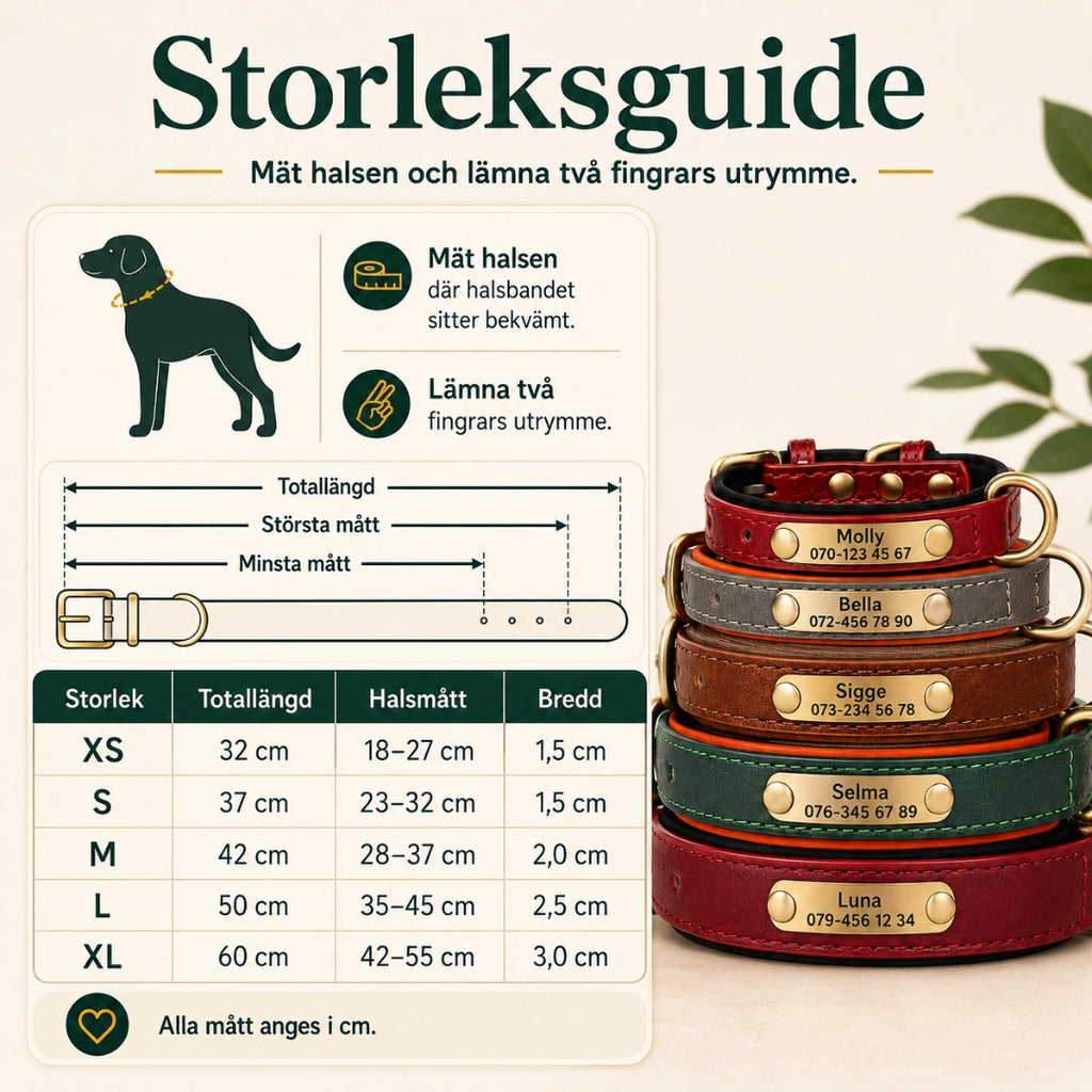 Tagley läderhalsband storleksguide XS till XL - Djurslottet