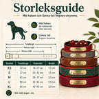 Tagley läderhalsband storleksguide XS till XL - Djurslottet